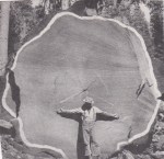 φωτογραφίες_0007