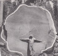 φωτογραφίες_0007