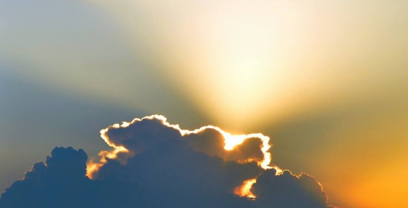 λεπτομέρεια από φωτογραφία της Ρούλας Σπάρταλη