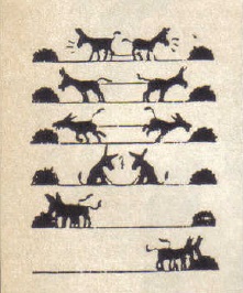 οι δύο γάιδαροι