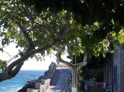 Μοναστηράκι Χρήστος Τσαντής