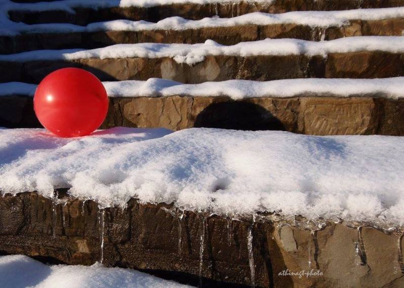 12487265_10205496370910445_1964473420821468060_o