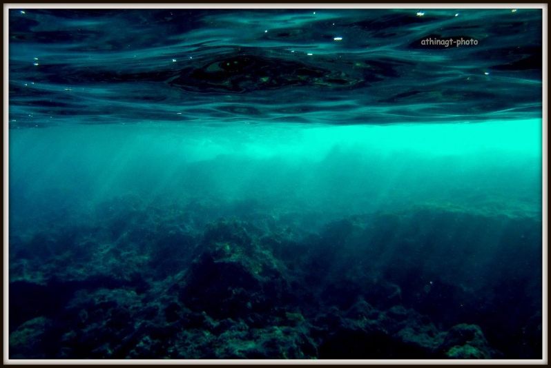 12496391_10205607656852524_201070602330969262_o