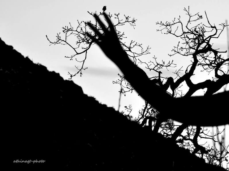 Αθηνά Γαλανάκη