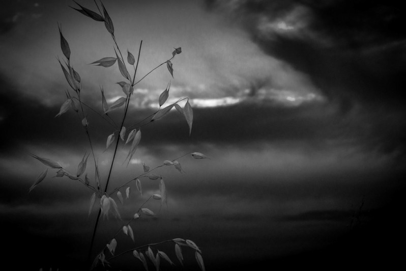 Εκδόσεις Ραδάμανθυς