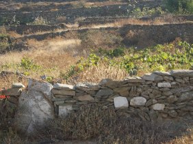 Ξερολιθιά, Φολέγναδρος