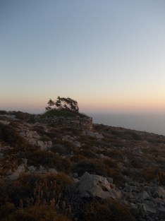 Φολέγανδρος